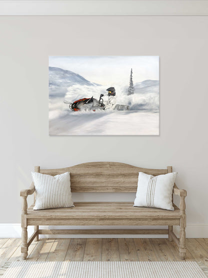SNOWMOBILE POW 70x100