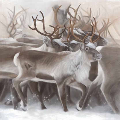 Reindeer Edition 1.2 50x50