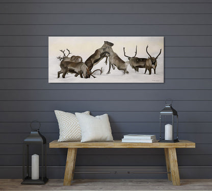 Reindeer fight 02 100x40